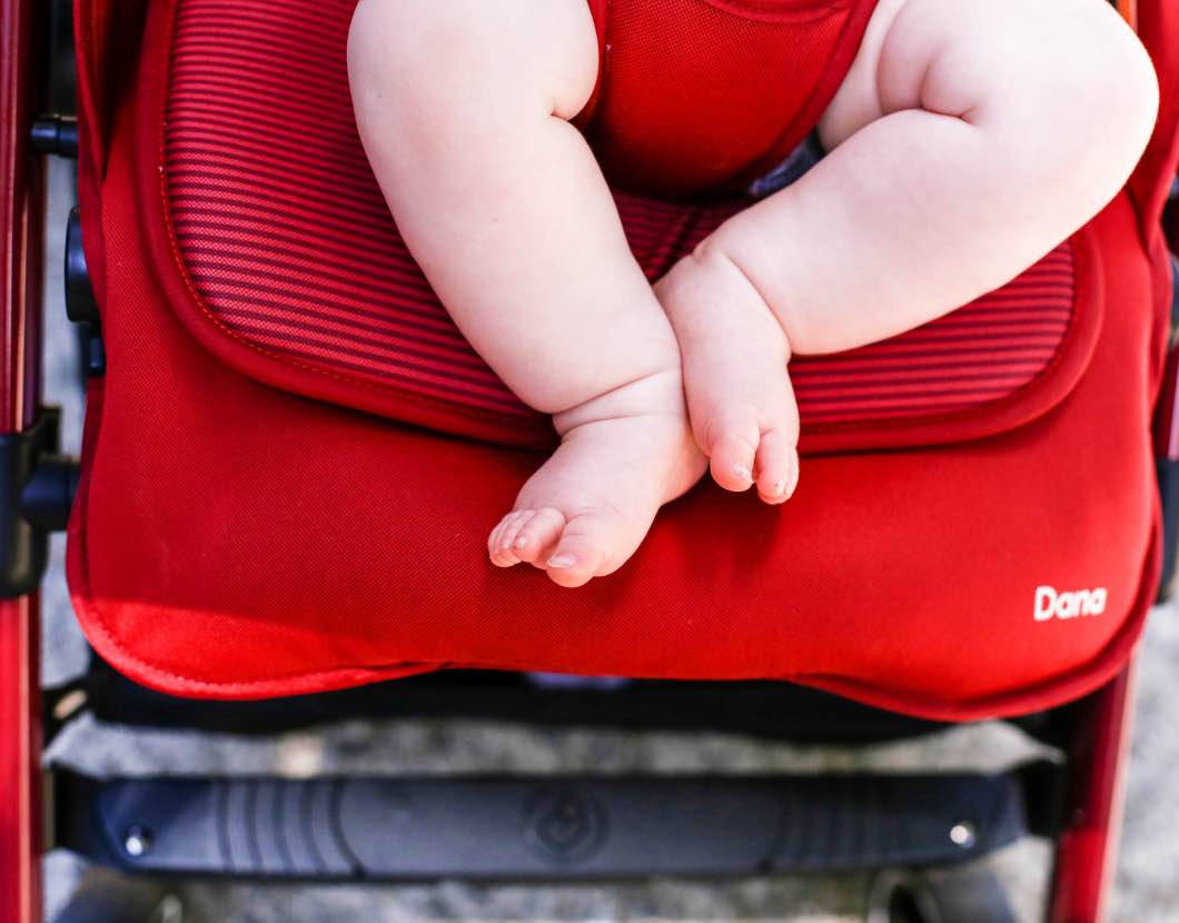 maxi cosi dana stroller weight